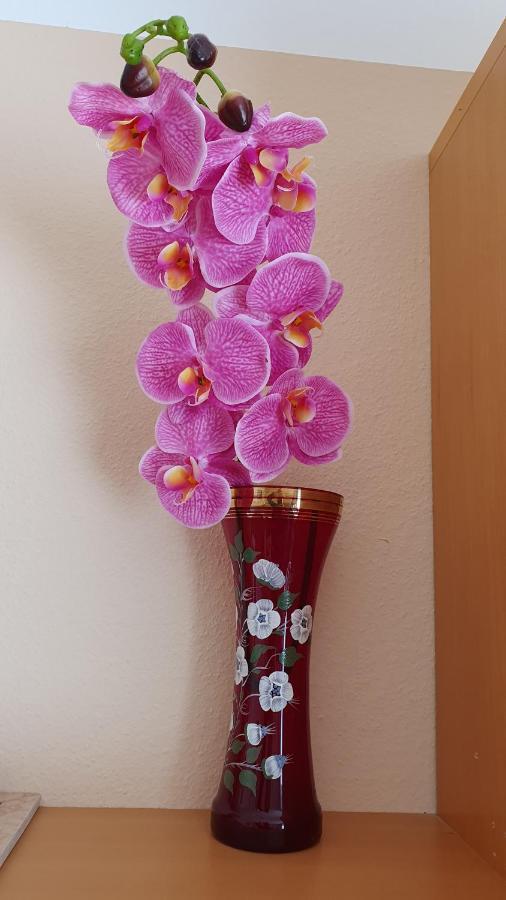 Gemütliche In Apartment *